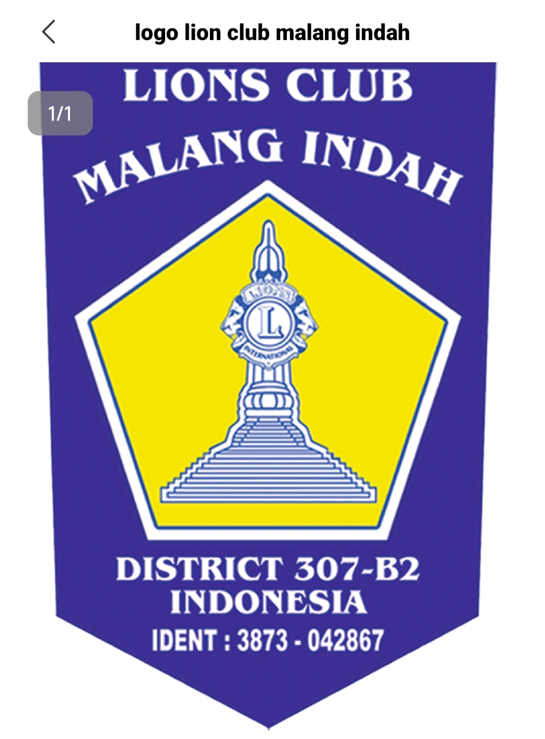 Peace Poster Contest LCMI